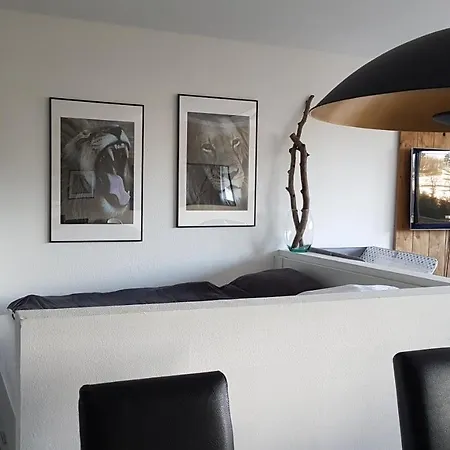 Apartment Cozy Freedom Snow Bike Hike Enjoy 200mbit Winterberg