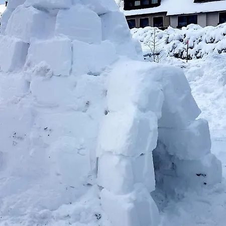 Cozy Freedom Snow Bike Hike Enjoy 200mbit Apartment Winterberg