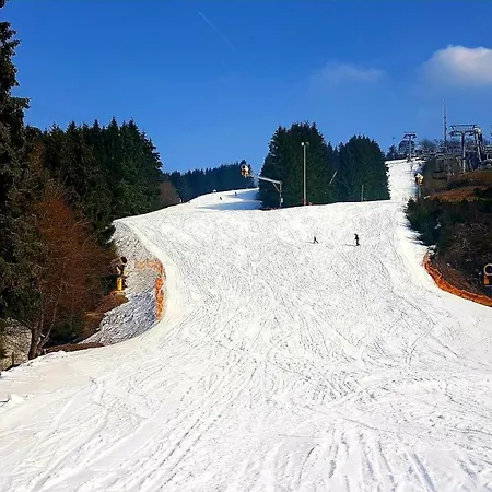 Cozy Freedom Snow Bike Hike Enjoy 200mbit Apartment Winterberg