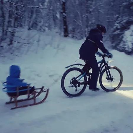 Cozy Freedom Snow Bike Hike Enjoy 200mbit Winterberg