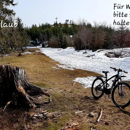 Apartment Cozy Freedom Snow Bike Hike Enjoy 200mbit Winterberg