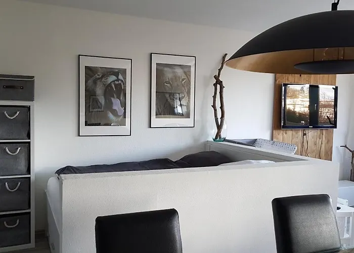 Apartamento Cozy Freedom Snow Bike Hike Enjoy 200mbit Winterberg