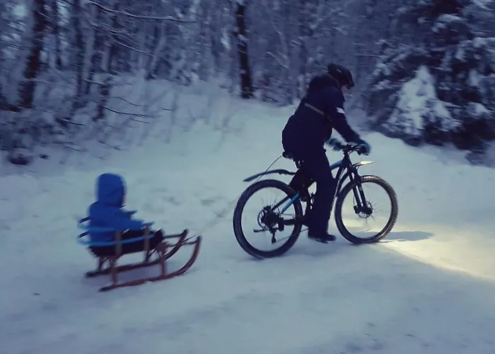 Cozy Freedom Snow Bike Hike Enjoy 200mbit Winterberg