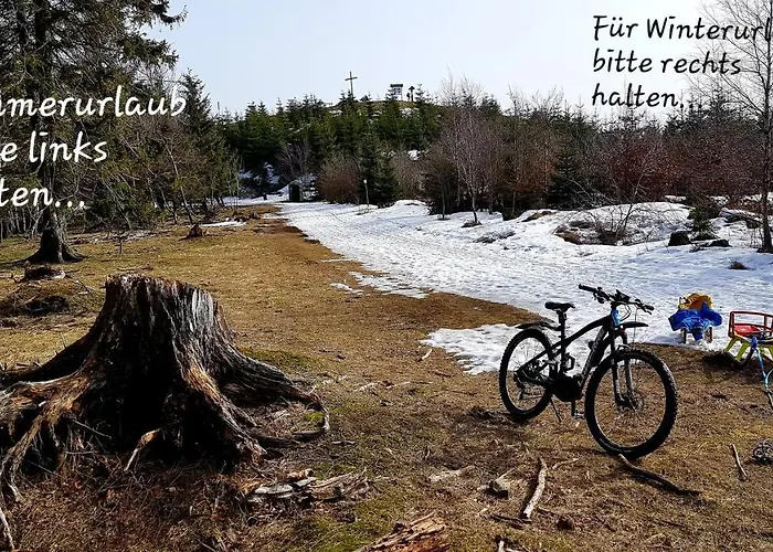 Lejlighed Cozy Freedom Snow Bike Hike Enjoy 200mbit Winterberg