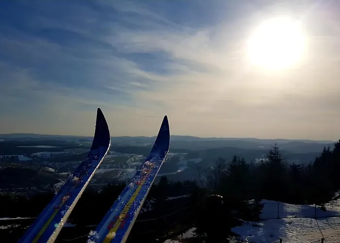 Apartamento Cozy Freedom Snow Bike Hike Enjoy 200mbit Winterberg